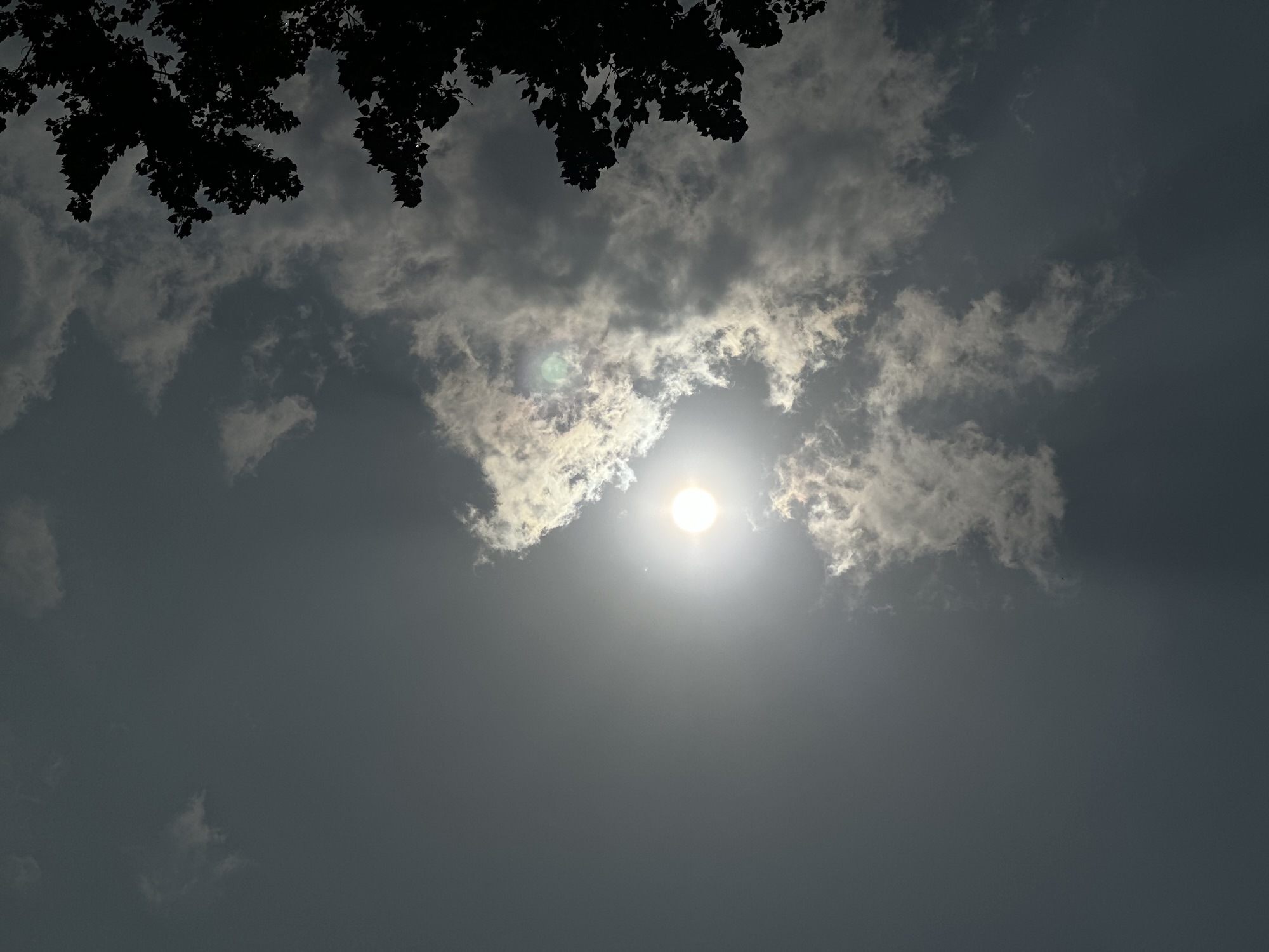 The Notification Industry: A New-Age Confinement